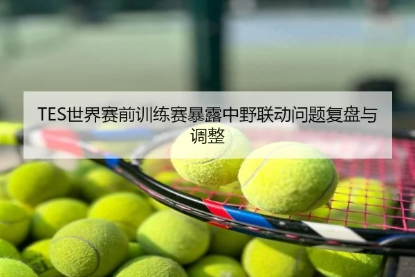 TES世界赛前训练赛暴露中野联动问题复盘与调整